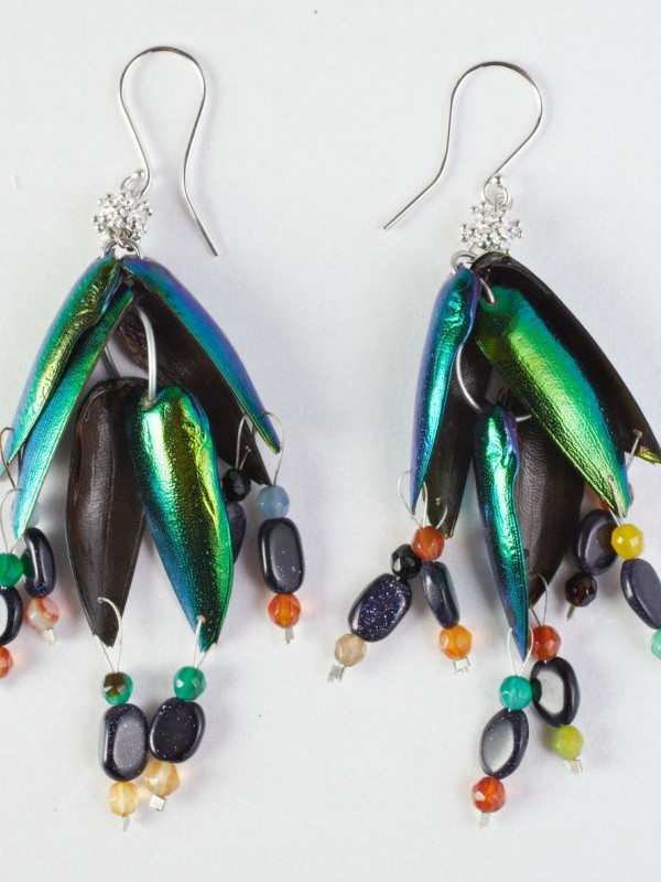 EBE 1 - Curio Beetle Things